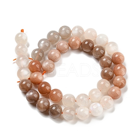 Natural Multi-Moonstone Beads Strands G-P503-10MM-04-1