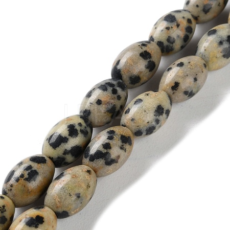 Natural Dalmatian Jasper Beads Strands G-I369-B03-01-1