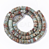 Natural Aqua Terra Jasper Beads Strands X-G-S366-012B-2