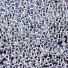 MIYUKI Delica Beads LS-X-SEED-J020-DB0051-2