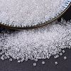 MIYUKI Delica Beads SEED-X0054-DB0141-1