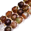 Natural Agate Beads Strands G-T131-82B-12-1