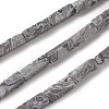 Natural Map Stone/Picasso Stone/Picasso Jasper Beads Strands G-G837-05-1
