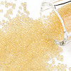 Glass Seed Beads SEED-A004-2mm-2-1