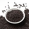 MIYUKI Round Rocailles Beads X-SEED-G008-RR0409-2