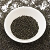 MIYUKI Delica Beads SEED-X0054-DB0007-2