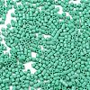 Baking Paint Glass Seed Beads SEED-S042-05B-60-3