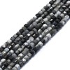 Natural Hawk's Eye Beads Strands G-P457-B01-44-1