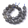 Natural Labradorite Beads Strands X-G-S345-8mm-005-2