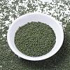 MIYUKI Delica Beads SEED-J020-DB1135-2