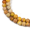 Dyed Natural Regalite/Imperial Jasper/Sea Sediment Jasper Beads Strands G-B124-C04-04-2