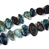 Natural Chrysocolla Beads Strands G-Z091-A46-4