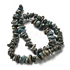 Natural Serpentine Beads Strands G-F771-C01-02-3