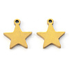 PVD Vacuum Plating 304 Stainless Steel Charms STAS-N092-50G-2