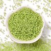 Glass Cylinder Beads SEED-L011-11B-11-2