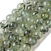 Natural Prehnite Beads Strands G-G474-A01-10mm-2