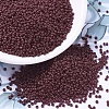 MIYUKI Round Rocailles Beads X-SEED-G007-RR0419-1