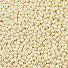 6/0 Glass Seed Beads X1-SEED-L011-08A-16-3