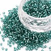Glass Bugle Beads SEED-S032-08A-51A-1
