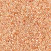 MIYUKI Round Rocailles Beads X-SEED-G009-RR0369-2