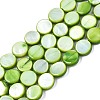 Freshwater Shell Beads Strands X-SHEL-T009-B16-04-1