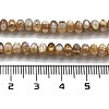 Natural Freshwater Shell Beads Strands X-BSHE-G038-05-5