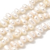 Natural Cultured Freshwater Pearl Beads Strands PEAR-A006-23B-2