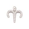 316 Stainless Steel Micro Pave Cubic Zirconia Pendants STAS-K284-01A-P-1
