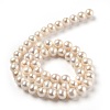 Natural Cultured Freshwater Pearl Beads Strands PEAR-L033-16-02-2