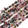 Natural Multicolor Tourmaline Beads Strands G-T148-01-2