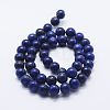 Natural Lapis Lazuli Beads Strands G-P348-01-10mm-2