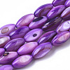 Natural Freshwater Shell Beads SHEL-R047-02C-1