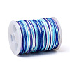 Segment Dyed Polyester Thread NWIR-I013-A-3