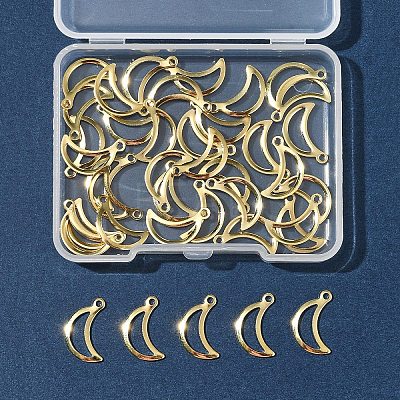 40Pcs 304 Stainless Steel Charms STAS-FS0001-51-1