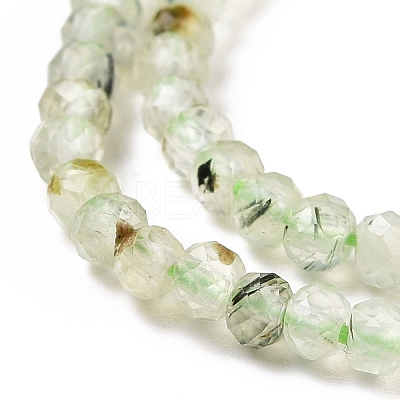 Natural Prehnite Beads Strands G-E194-06-1