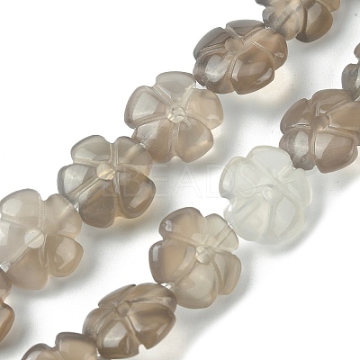 Natural Grey Agate Bead Strands G-H023-B20-01-1