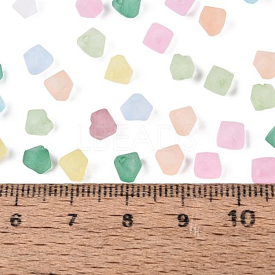 FGB Frosted Transparent Glass Seed Beads SEED-N013-03A-1