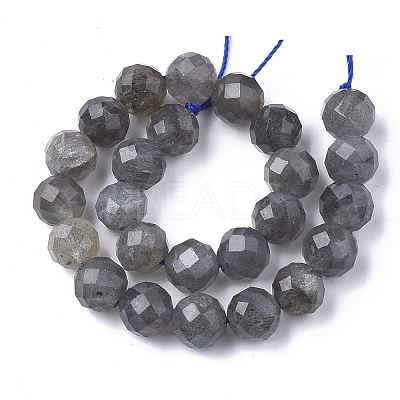 Natural Labradorite Beads Strands X-G-S345-8mm-005-1