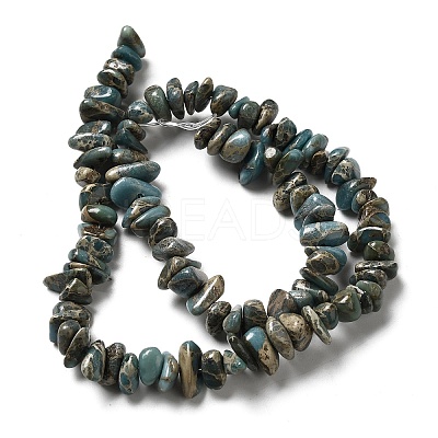 Natural Serpentine Beads Strands G-F771-C01-02-1