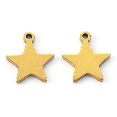 PVD Vacuum Plating 304 Stainless Steel Charms STAS-N092-50G-1