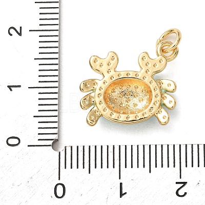 Brass with Enamel Pendants KK-CBA2F11-08A-G04-1