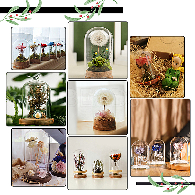 18Pcs 3 Style Arch Glass Dome Cover FIND-PH0008-78-1