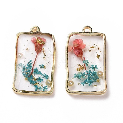 Transparent Clear Epoxy Resin Pendants RESI-L036-04G-02-1
