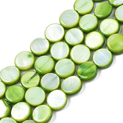 Freshwater Shell Beads Strands X-SHEL-T009-B16-04-1