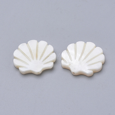 Natural Freshwater Shell Beads X-SHEL-T007-05-1