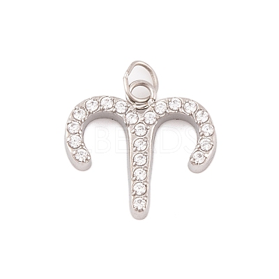 316 Stainless Steel Micro Pave Cubic Zirconia Pendants STAS-K284-01A-P-1