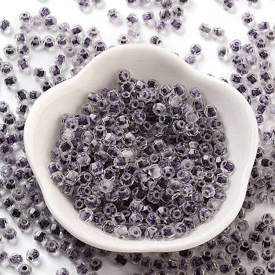 Glass Seed Beads SEED-A032-01P-1