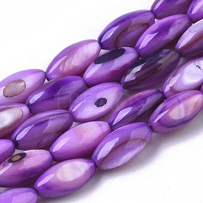 Natural Freshwater Shell Beads SHEL-R047-02C-1