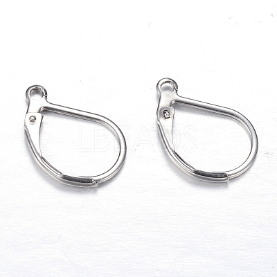 Tarnish Resistant 304 Stainless Steel Leverback Earring Findings LS-STAS-M217-03-1