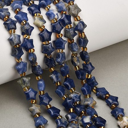 Natural Sodalite Beads Strands G-Z080-A28-8mm-1